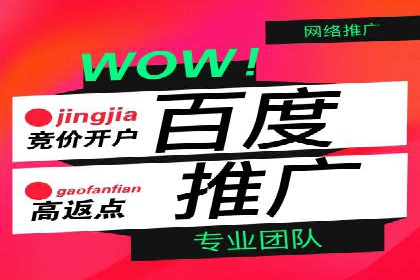 百度运营推广策略解析，看这些成功案例